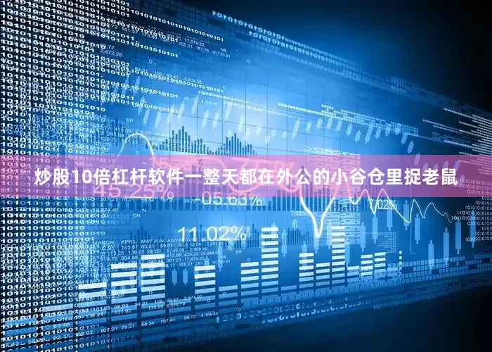 炒股10倍杠杆软件一整天都在外公的小谷仓里捉老鼠