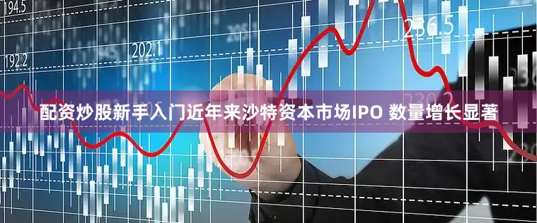 配资炒股新手入门近年来沙特资本市场IPO 数量增长显著