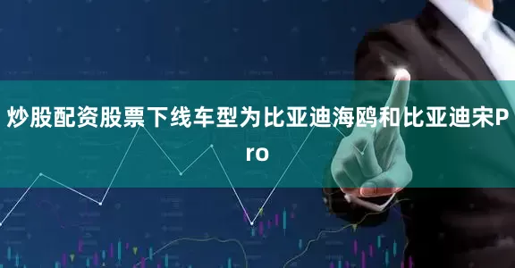炒股配资股票下线车型为比亚迪海鸥和比亚迪宋Pro