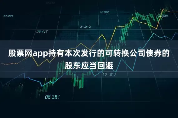 股票网app持有本次发行的可转换公司债券的股东应当回避